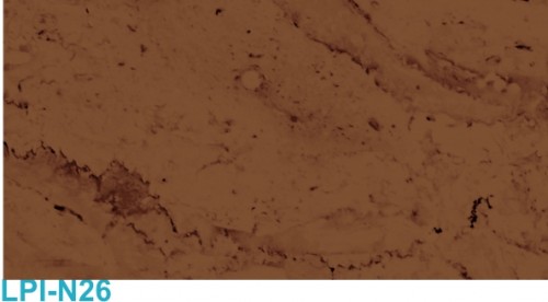 Natur LPI-N26